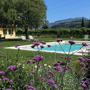 Campagnon Valpolicella SantʼAmbrogio di Valpolicella